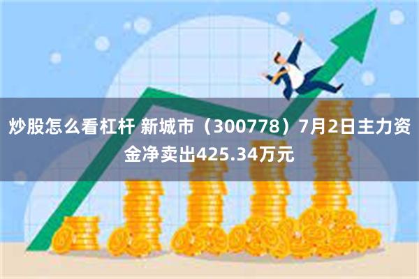 炒股怎么看杠杆 新城市（300778）7月2日主力资金净卖出425.34万元