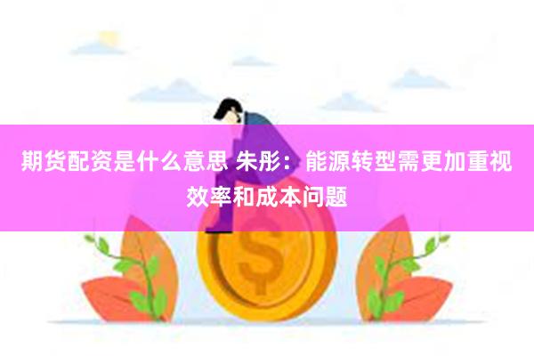 期货配资是什么意思 朱彤：能源转型需更加重视效率和成本问题