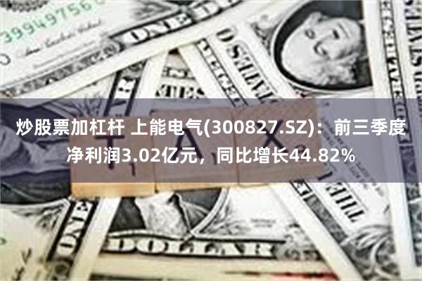 炒股票加杠杆 上能电气(300827.SZ)：前三季度净利润3.02亿元，同比增长44.82%