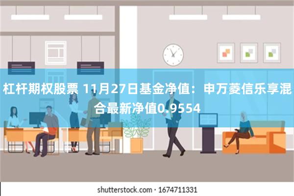 杠杆期权股票 11月27日基金净值：申万菱信乐享混合最新净值0.9554