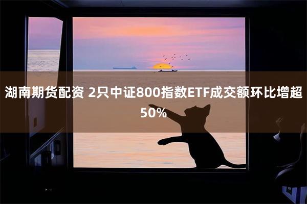 湖南期货配资 2只中证800指数ETF成交额环比增超50%