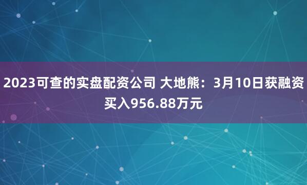 2023可查的实盘配资公司 大地熊：3月10日获融资买入956.88万元